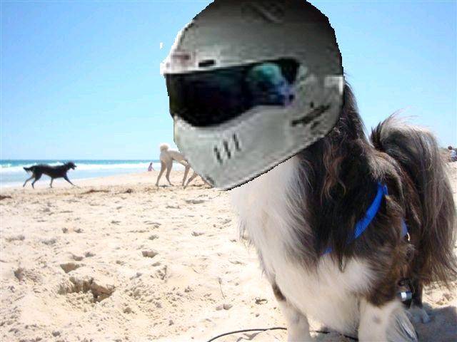 lilROCKET