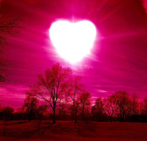 love