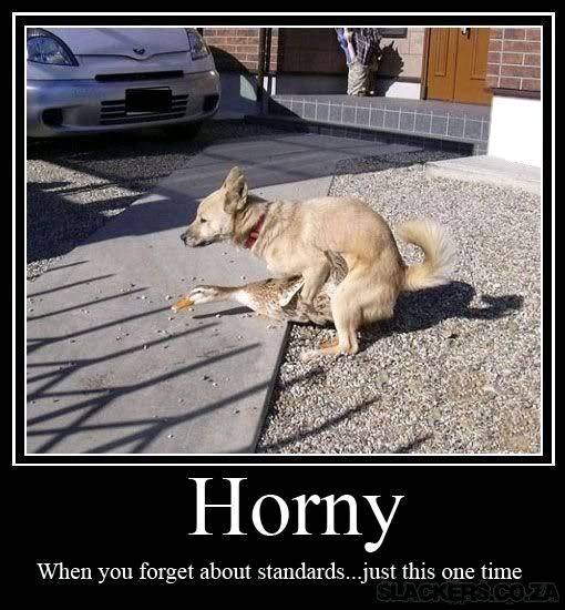 Horny