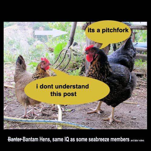 hen2