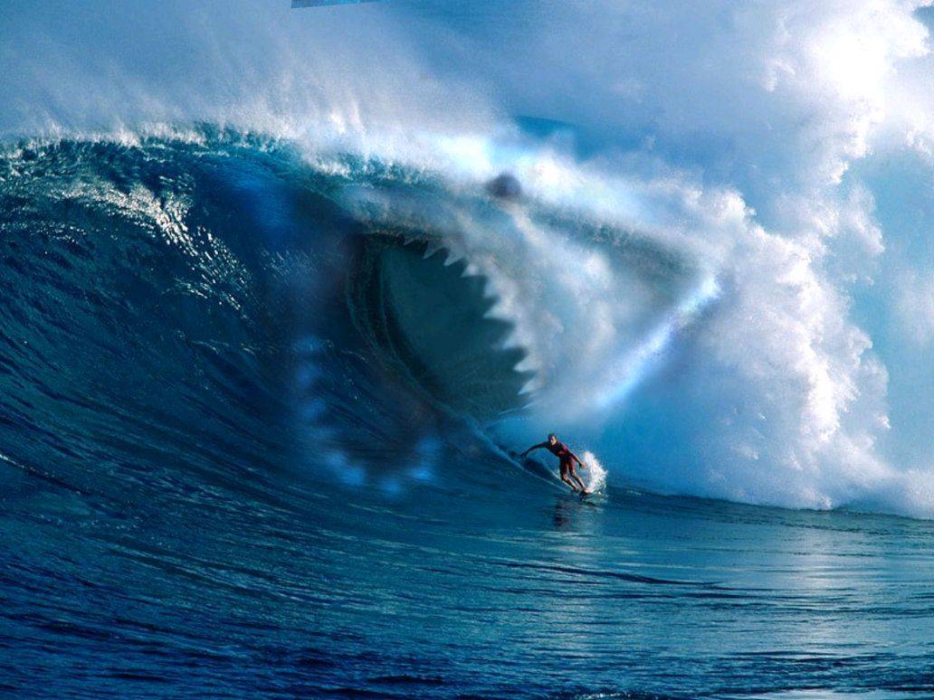 shark by Brycebubbles