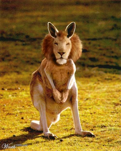 roolion