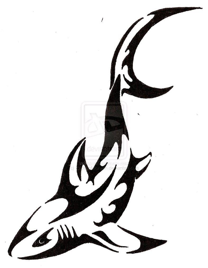 Streamline Shark Tattoo by CaptainMorwen