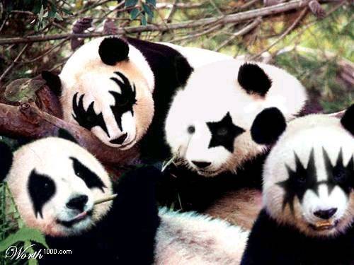 kiss pandas