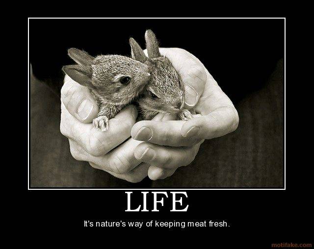 Life