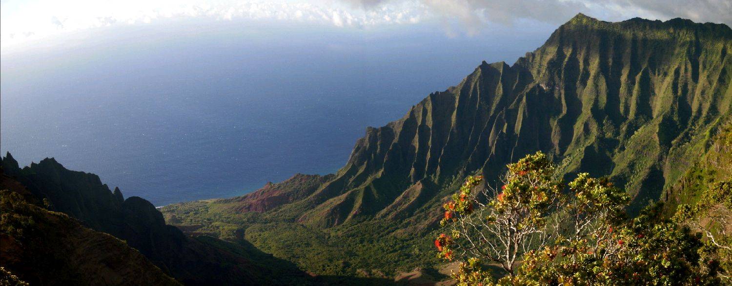 Kalalau pan for parents