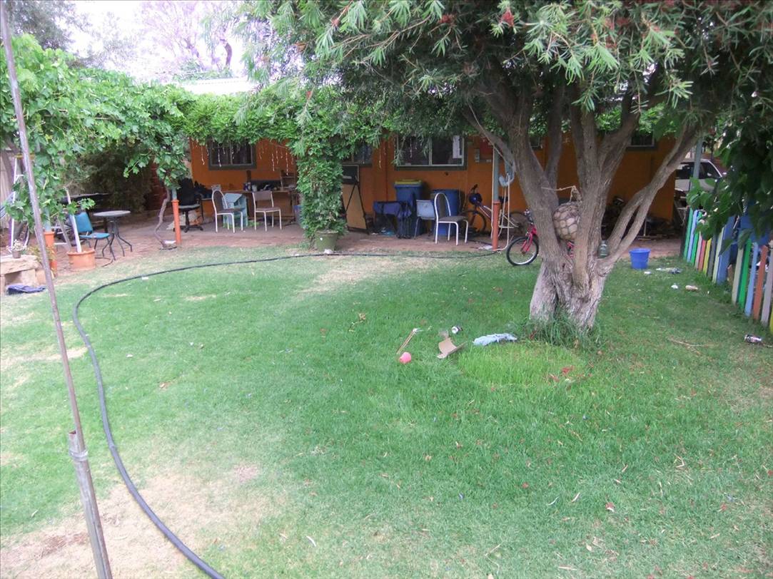 desperate lawns
