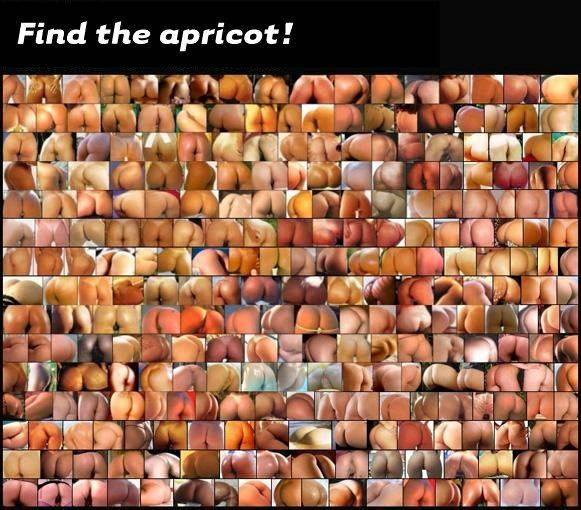 Apricot