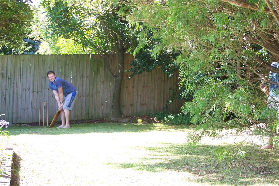 Back yard cricket