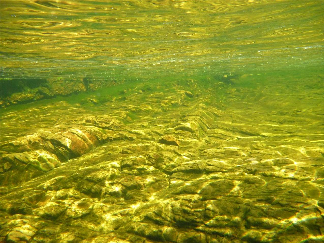 water hole