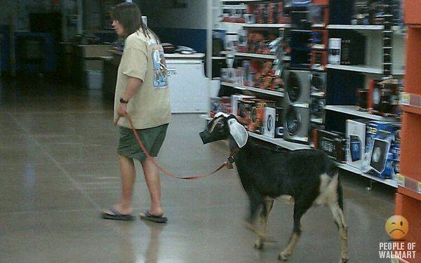 walmart11