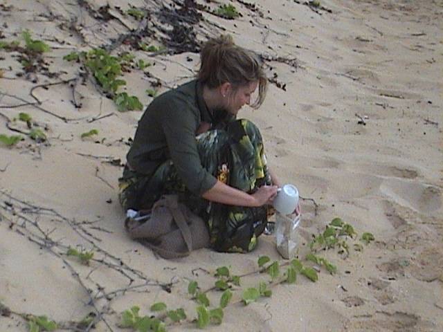 sand