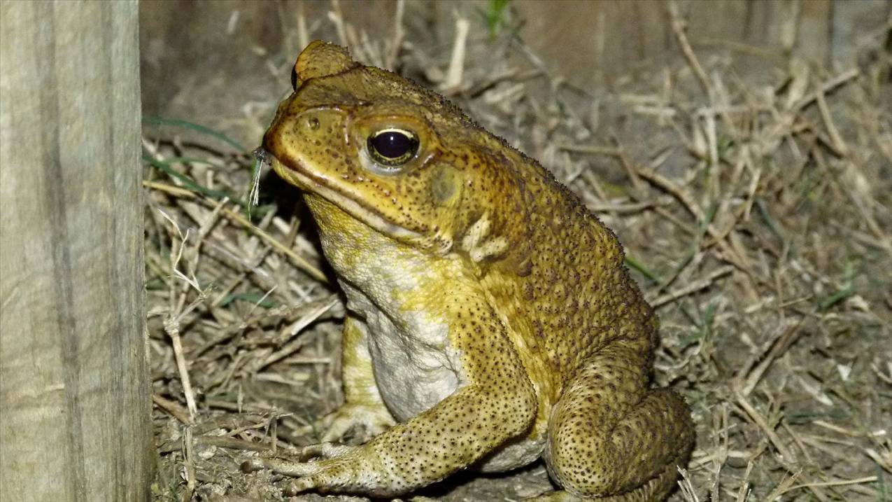 P1000935