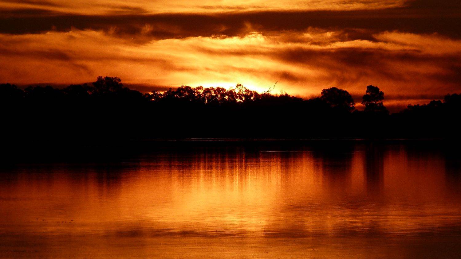 sunset yellow