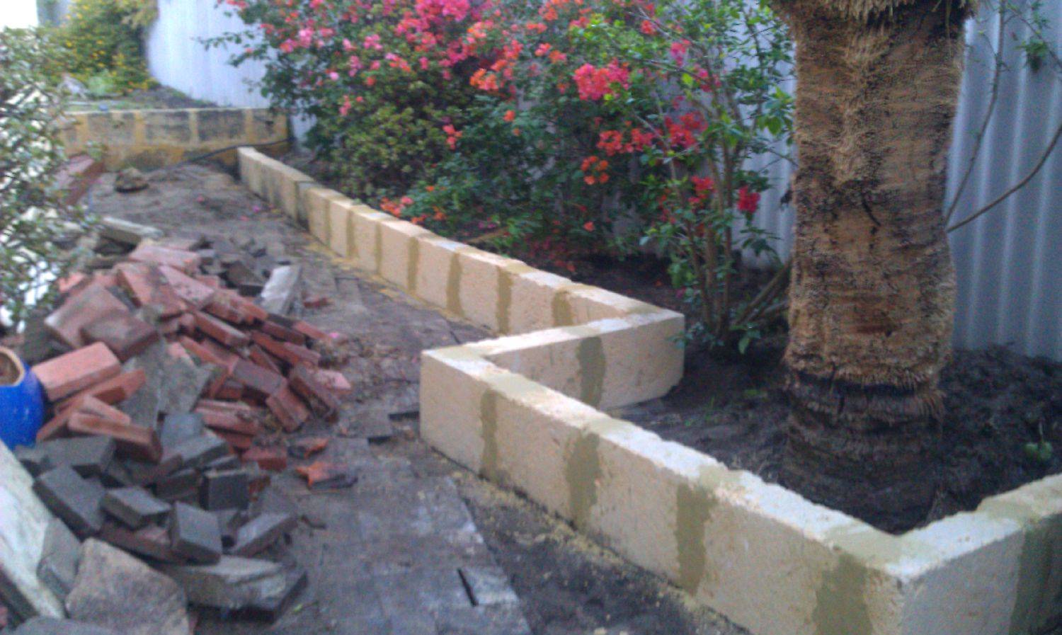 IMAG0065