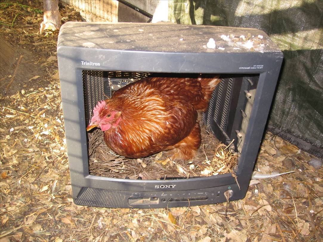 A good use of an old TV