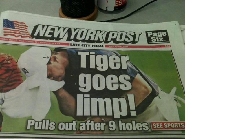 tiger