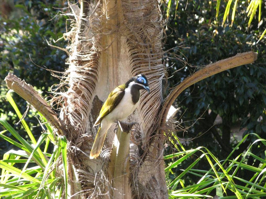 Hawks Nest 2009 042
