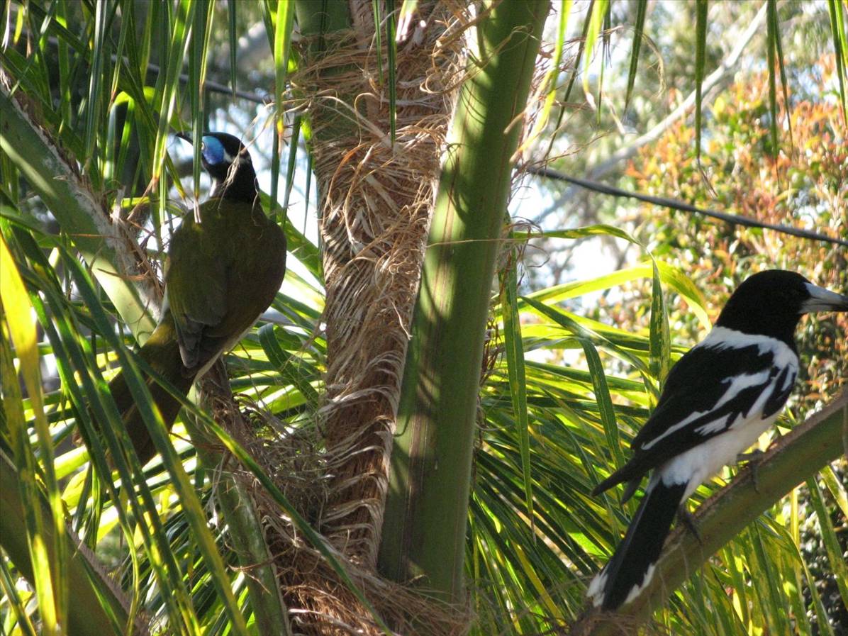 Hawks Nest 2009 043