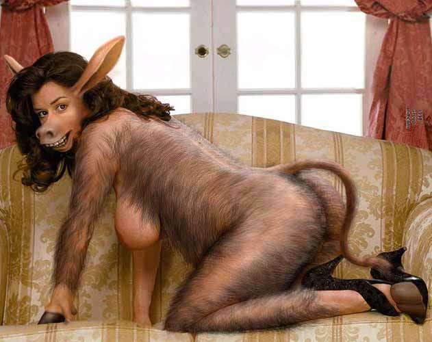 donkeybd5