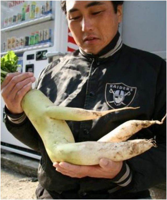 veg2