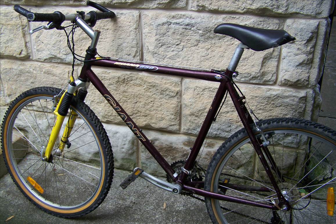 Mountain Bike