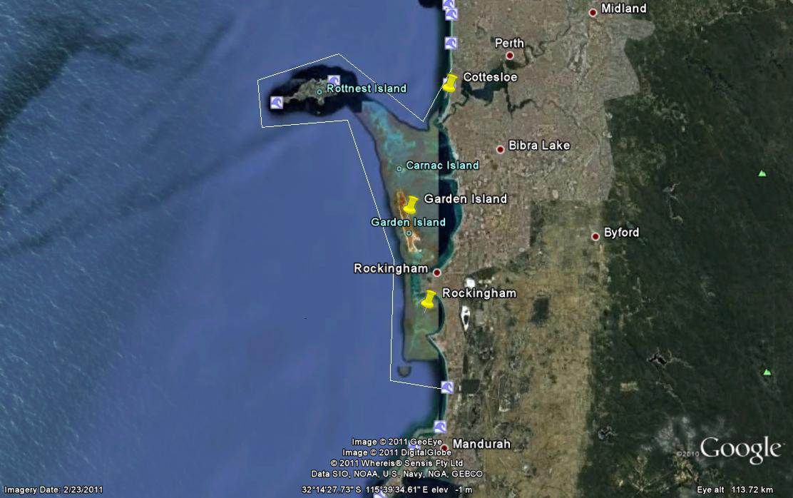 Shark Attack Zone