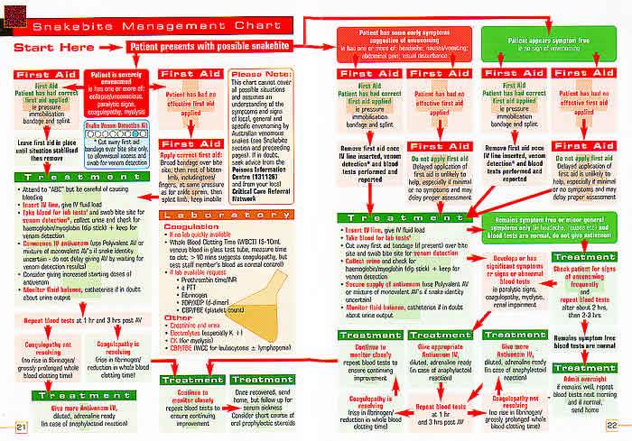 Snakebite Management Flow Chart