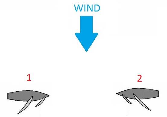 starboardrule2