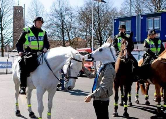 horse'y