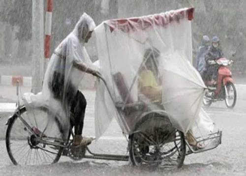 transportation