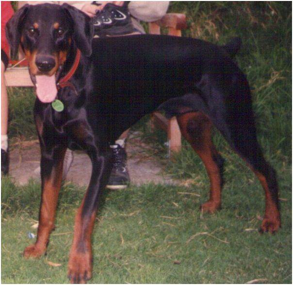 Monty1