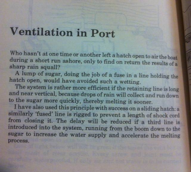 sugar cube 1