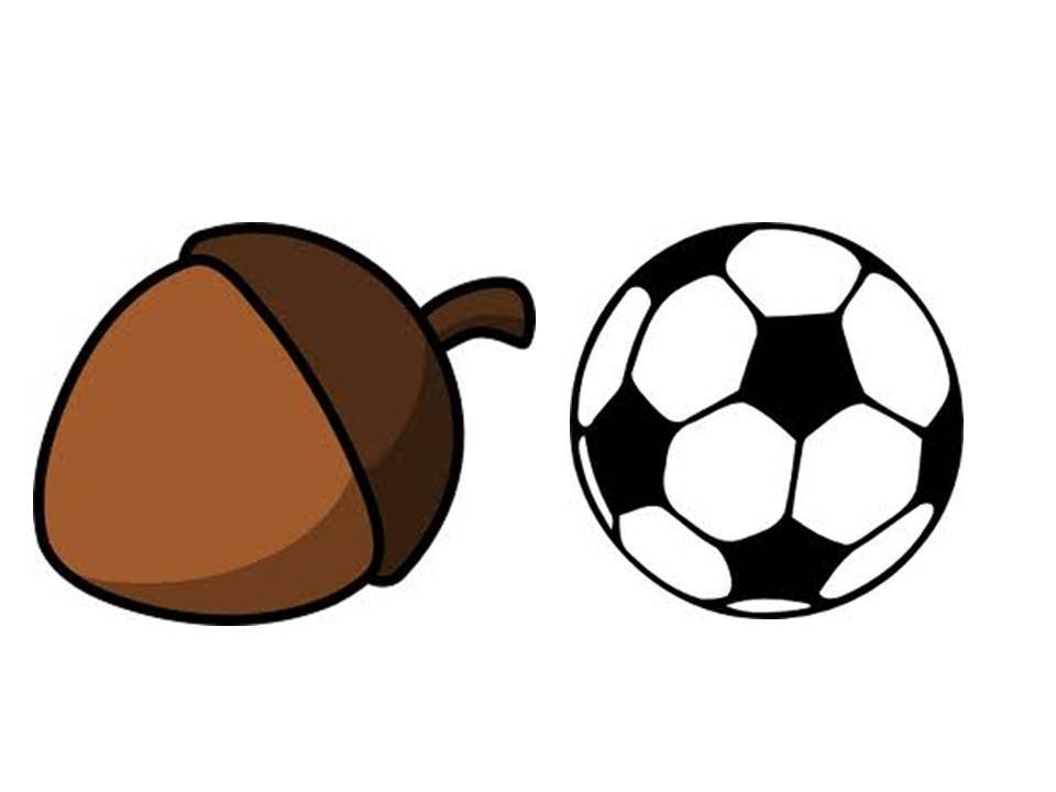 nutball