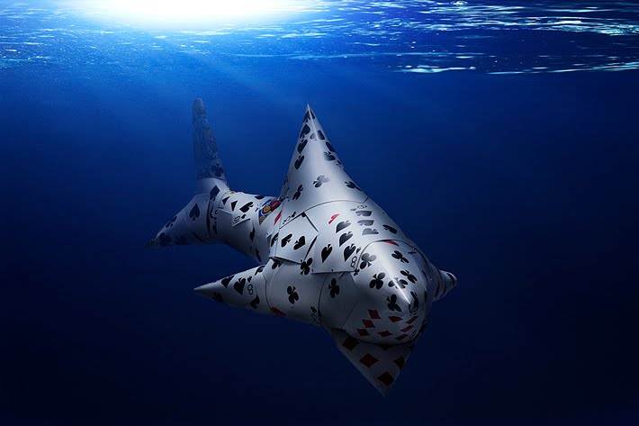 cardshark