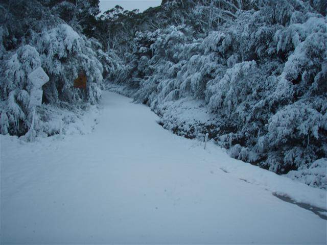 P8060007 (Small)