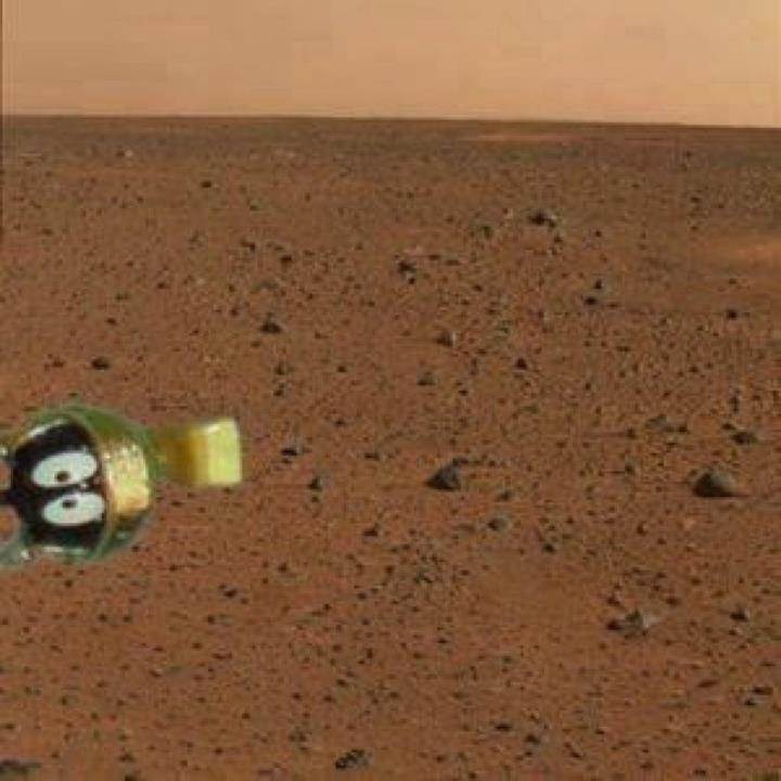 marvin