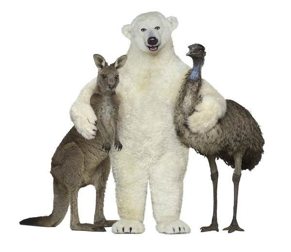 bundy bear