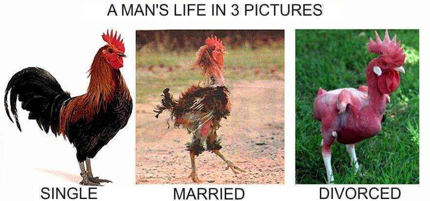 Mans Life