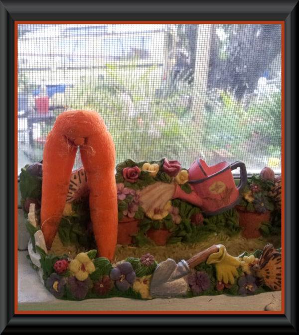 carrot