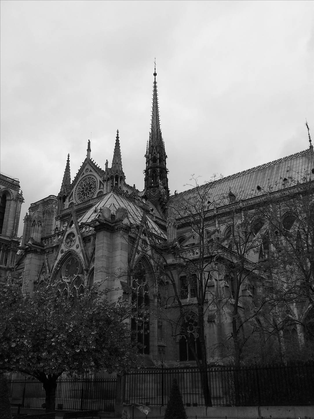 Notre Dame