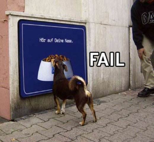 DogFood
