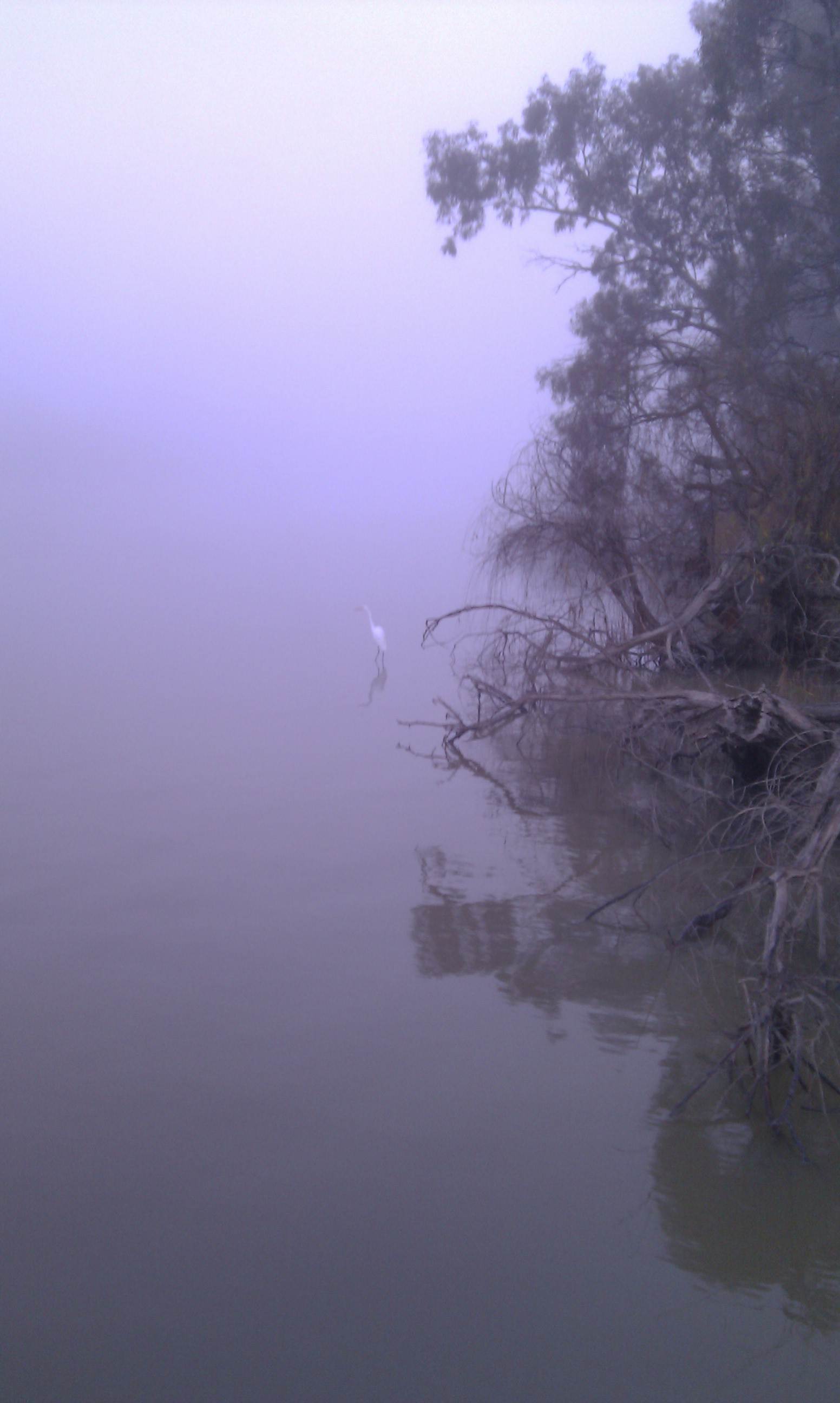 IMAG0471
