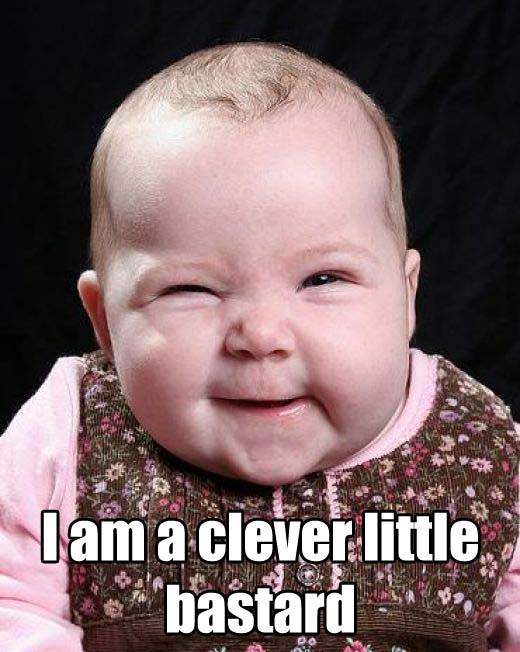 Clever Little Bastard