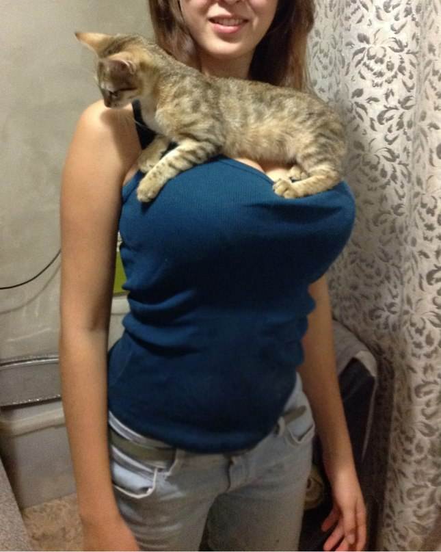 pussyshelf