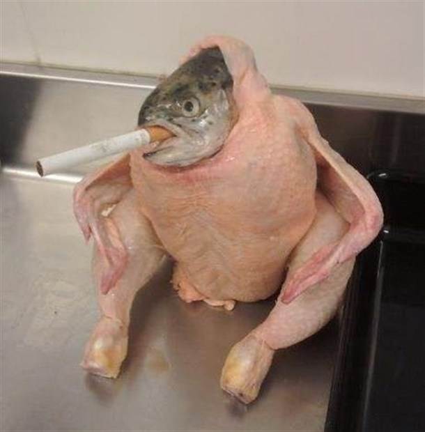 fish