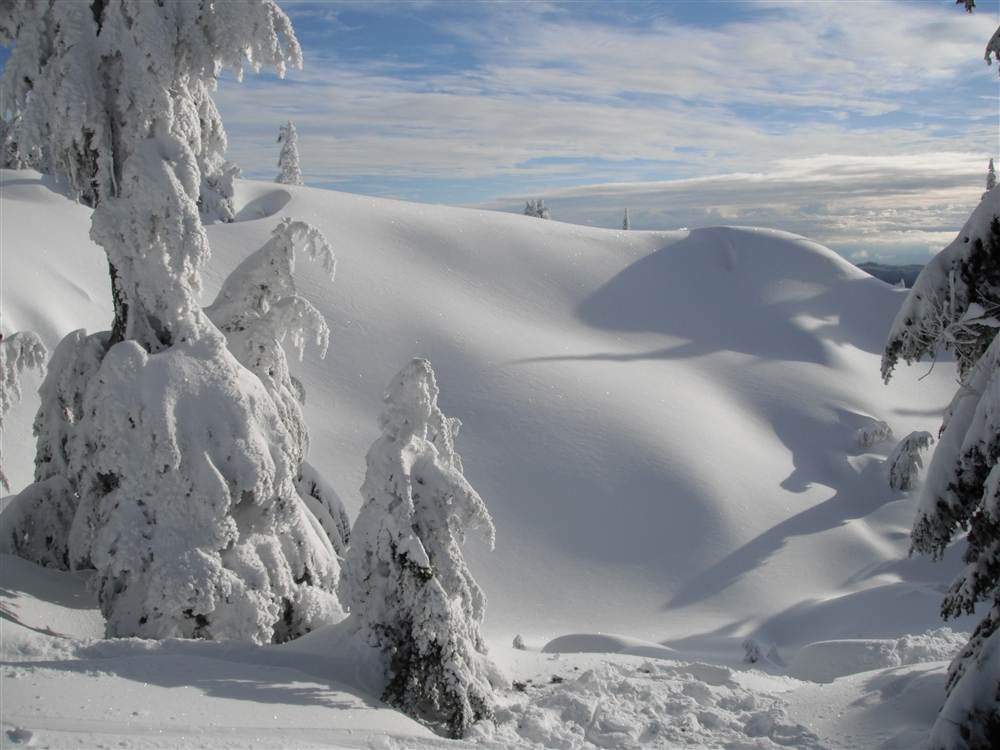 Saturday Morning Snow