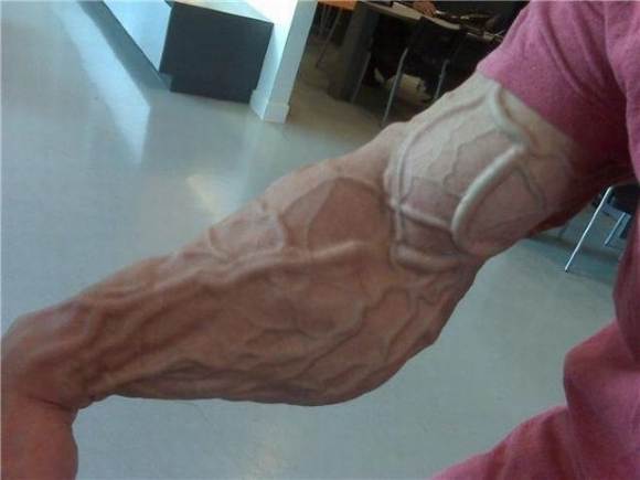 funny looking bodybuilders 1