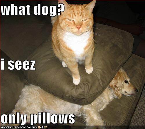 puss