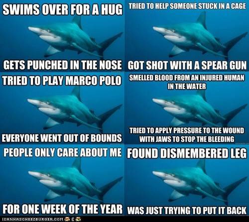 advice-animals-memes-animal-memes-introducing-misunderstood-shark